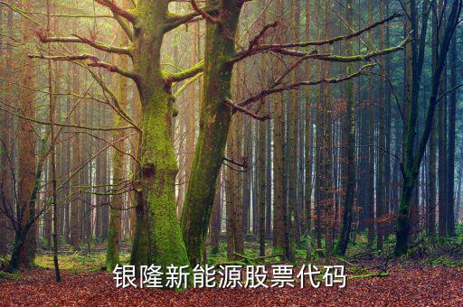 銀龍股份什么時(shí)候上市，銀隆新能源股票代碼