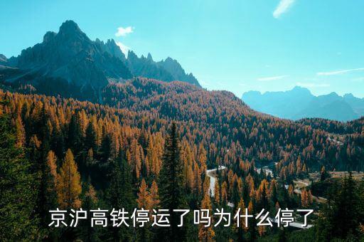 京滬高鐵停運(yùn)了嗎為什么停了