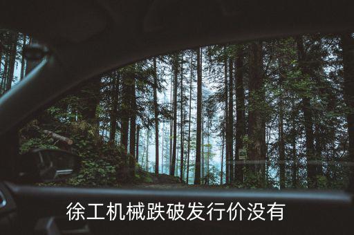 徐工機(jī)械什么時(shí)候復(fù)權(quán)，徐工機(jī)械何時(shí)復(fù)牌