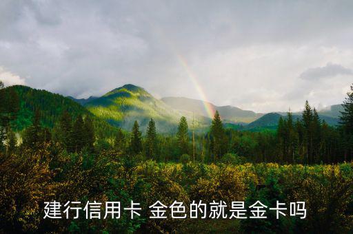 建設(shè)銀行信用卡什么卡種是金卡，我申請(qǐng)建設(shè)銀行的信用卡我申請(qǐng)的是金卡審核通過了上面寫的卡