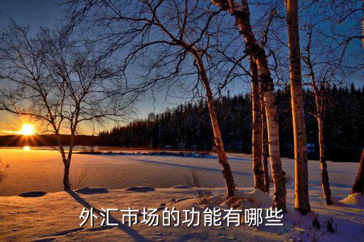 外匯有什么用，外匯市場的功能有哪些