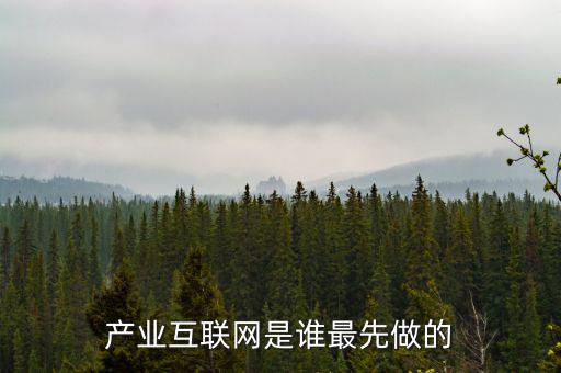 產(chǎn)業(yè)互聯(lián)網(wǎng)是什么龍頭，產(chǎn)業(yè)互聯(lián)網(wǎng)是誰最先做的