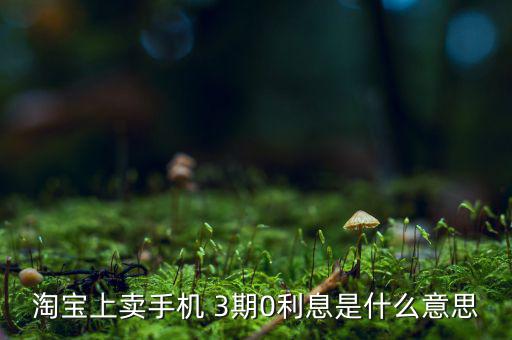 三零分期什么意思，淘寶上賣手機(jī) 3期0利息是什么意思