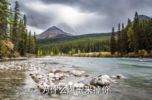 玉米價(jià)格為什么下跌，現(xiàn)在的玉米價(jià)格是多少為什么糧食價(jià)格下跌