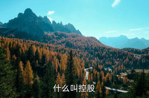什么是控股關(guān)系，什么叫控股