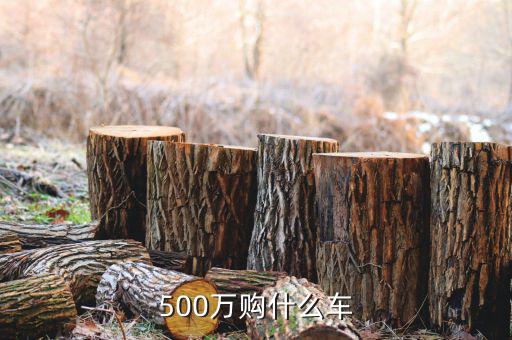 500萬(wàn)身家開(kāi)什么車(chē)，500萬(wàn)人民幣可買(mǎi)什么車(chē)