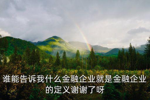 什么是金融企業(yè)，請問什么是金融企業(yè)呢或金融企業(yè)具體做什么負責什么啊