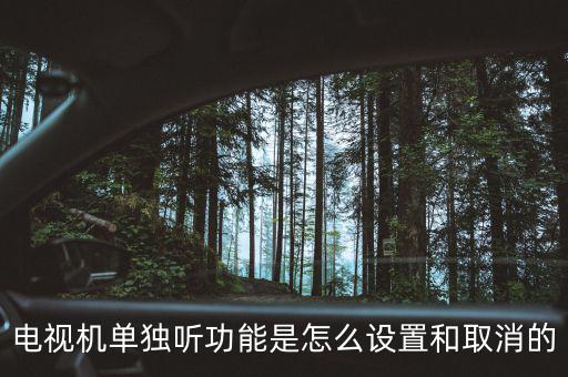 tcl電視單獨聽什么意思，電視機單獨聽功能是怎么設置和取消的