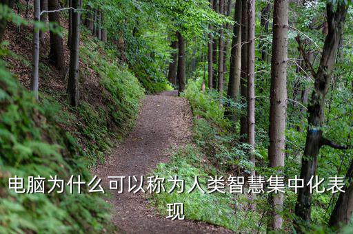 電腦為什么能夠做人工智能，電腦為什么可以稱為人類智慧集中化表現(xiàn)