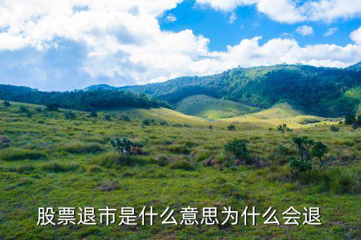 上市退出是什么意思，退市是什么意思