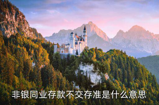 什么是非銀同業(yè)存款，什么是銀行同業(yè)存款