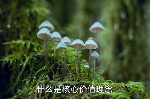 什么是核心價(jià)值理念，什么是核心價(jià)值理念