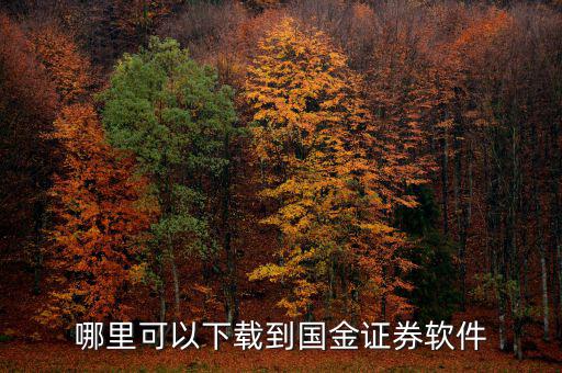 國金證券用的什么軟件，國金證券手機怎樣下載