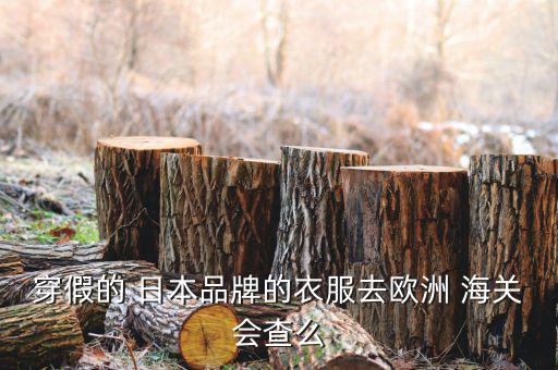 日本海關(guān)怎么查假名牌,千萬(wàn)不要拿假耐克和阿迪!看運(yùn)氣!