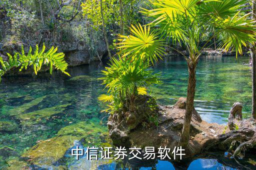 中信證券的交易軟件是什么，中信證券用什么軟件的