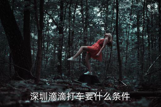 深圳交通滴滴有什么政策，申請深圳滴滴對司機(jī)有些什么要求嗎