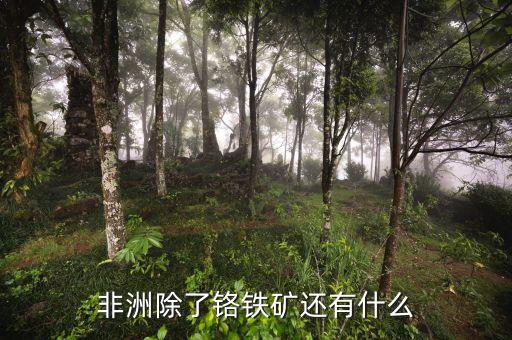 非洲有什么礦產(chǎn)資源，非洲哪些礦產(chǎn)豐富