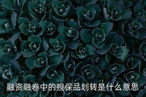 什么是劃轉(zhuǎn)，劃撥轉(zhuǎn)賬是什么意思