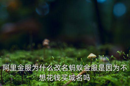 阿里金服為什么改名螞蟻金服是因為不想花錢買域名嗎