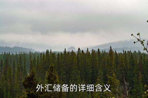 外匯儲備包括什么，外匯儲備指什么是用黃金或紙幣來儲備