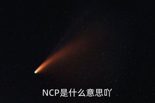 可比企業(yè)ncp是什么簡稱，NCP是什么意思吖