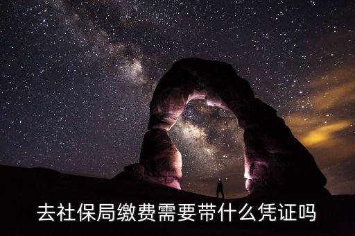 去社保局申報(bào)年度繳費(fèi)工資需要帶什么證件，去社保局繳費(fèi)需要帶什么憑證嗎