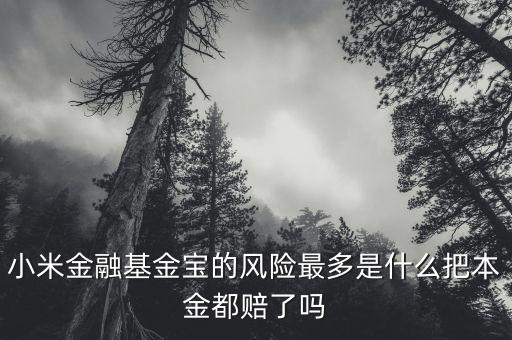 小米金融基金寶為什么一直跌，小米金融基金寶我投了100元為什么還在確認當中何時贖回