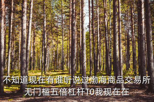 渤海商品多少倍杠桿是什么意思，專業(yè)做期貨的口中所謂幾倍杠桿幾倍杠桿到底是啥意思