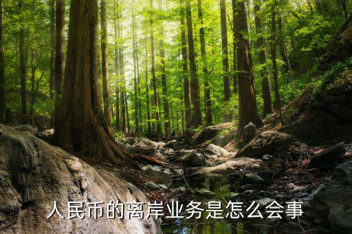 為什么會有離岸人民幣，人民幣的離岸業(yè)務(wù)是怎么會事