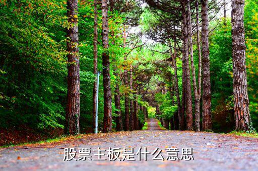 股市主板是什么，股市主板具體指什么