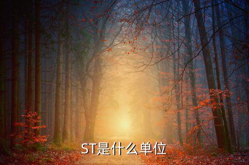 縮寫st表示什么數(shù)量單位，ST是什么單位