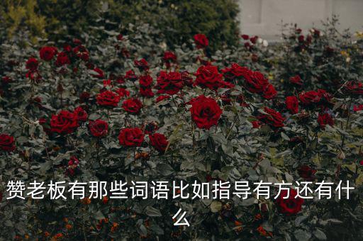 什么成語能夠形容房地產(chǎn)老板，贊老板有那些詞語比如指導有方還有什么