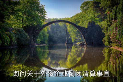 沈陽(yáng)投資公司跑路市政府什么解決，詢(xún)問(wèn)關(guān)于外資企業(yè)倒閉清算事宜