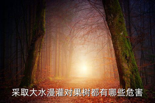 廣西地區(qū)大水漫灌導(dǎo)致什么，在干旱半干旱地區(qū)采取大水漫灌的灌溉方式可能會導(dǎo)致土地鹽漬化