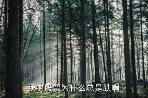 捷城股份為什么一直跌，有被捷成投資騙的人嗎咱們一起去告他