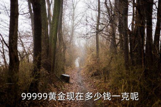 黃金現(xiàn)在什么價(jià)格一克，黃金現(xiàn)在多少錢(qián)一克