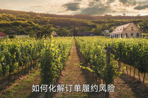 什么訂單執(zhí)行風(fēng)險，淘寶訂單險的問題