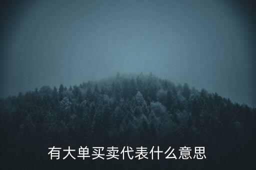 在買5成交有大單是什么意思，股票中大單是什么意思