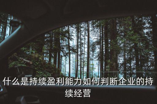 什么是持續(xù)盈利能力，什么是具備持續(xù)贏利能力的行業(yè)
