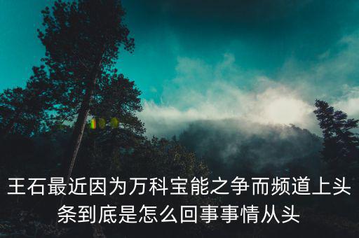 王石現(xiàn)在忙什么，王石現(xiàn)在在干什么