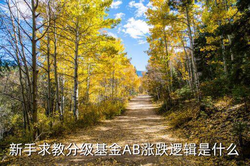 b級(jí)基金根據(jù)什么上升，基金是依靠什么數(shù)據(jù)上漲的