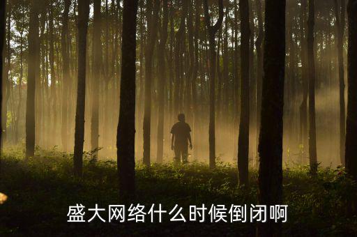 美國(guó)盛大游戲什么時(shí)間退市，盛大倒閉確切日期