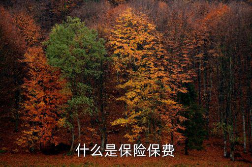 什么是保單保費(fèi)，什么是保險(xiǎn)保費(fèi)