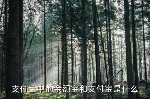 余額寶和支付寶是什么意思，支付寶里的余額寶是什么意思