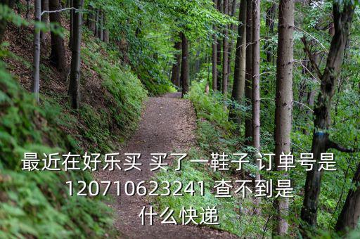 好樂買發(fā)什么快遞，我在好樂買用網(wǎng)銀付款買了雙鞋子請問他們都用什么快遞發(fā)貨