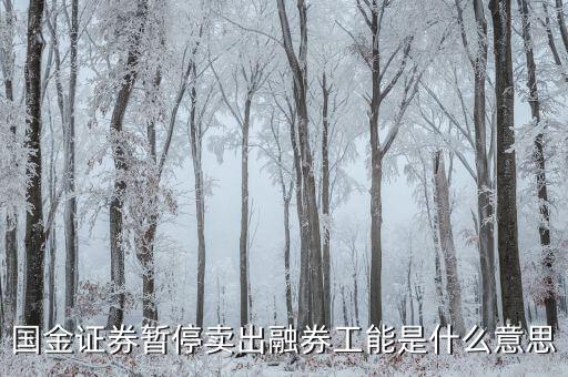 暫停融券是什么意思，國金證券暫停賣出融券工能是什么意思