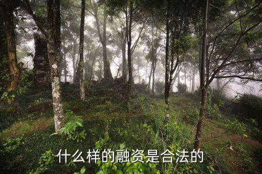 什么是合法的融資，什么是合法融資
