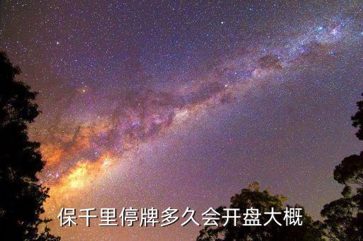 保千里什么時間上市，保千里什么時候復(fù)牌