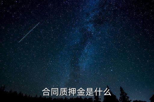質(zhì)押金是什么，期貨中的質(zhì)押金是什么意思