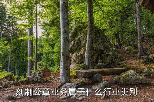 刻制公章業(yè)務(wù)屬于什么行業(yè)類(lèi)別